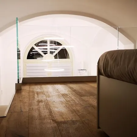 Raffinato Loft Sotto La Mole *
