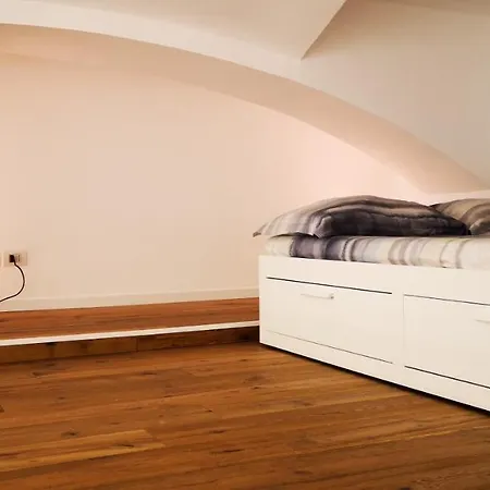 Raffinato Loft Sotto La Mole *