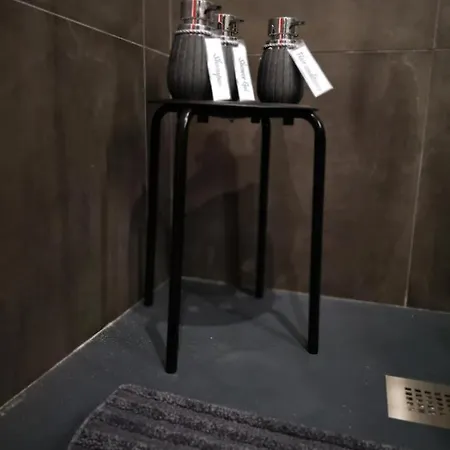 公寓 Raffinato Loft Sotto La Mole *