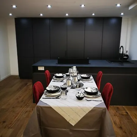 公寓 Raffinato Loft Sotto La Mole