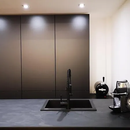 公寓 Raffinato Loft Sotto La Mole