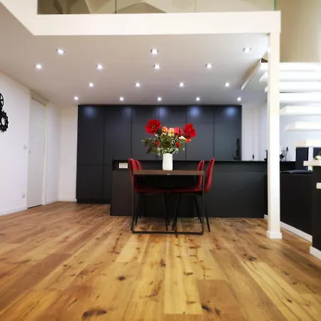 Raffinato Loft Sotto La Mole *