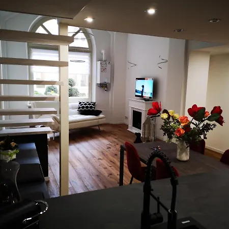Raffinato Loft Sotto La Mole